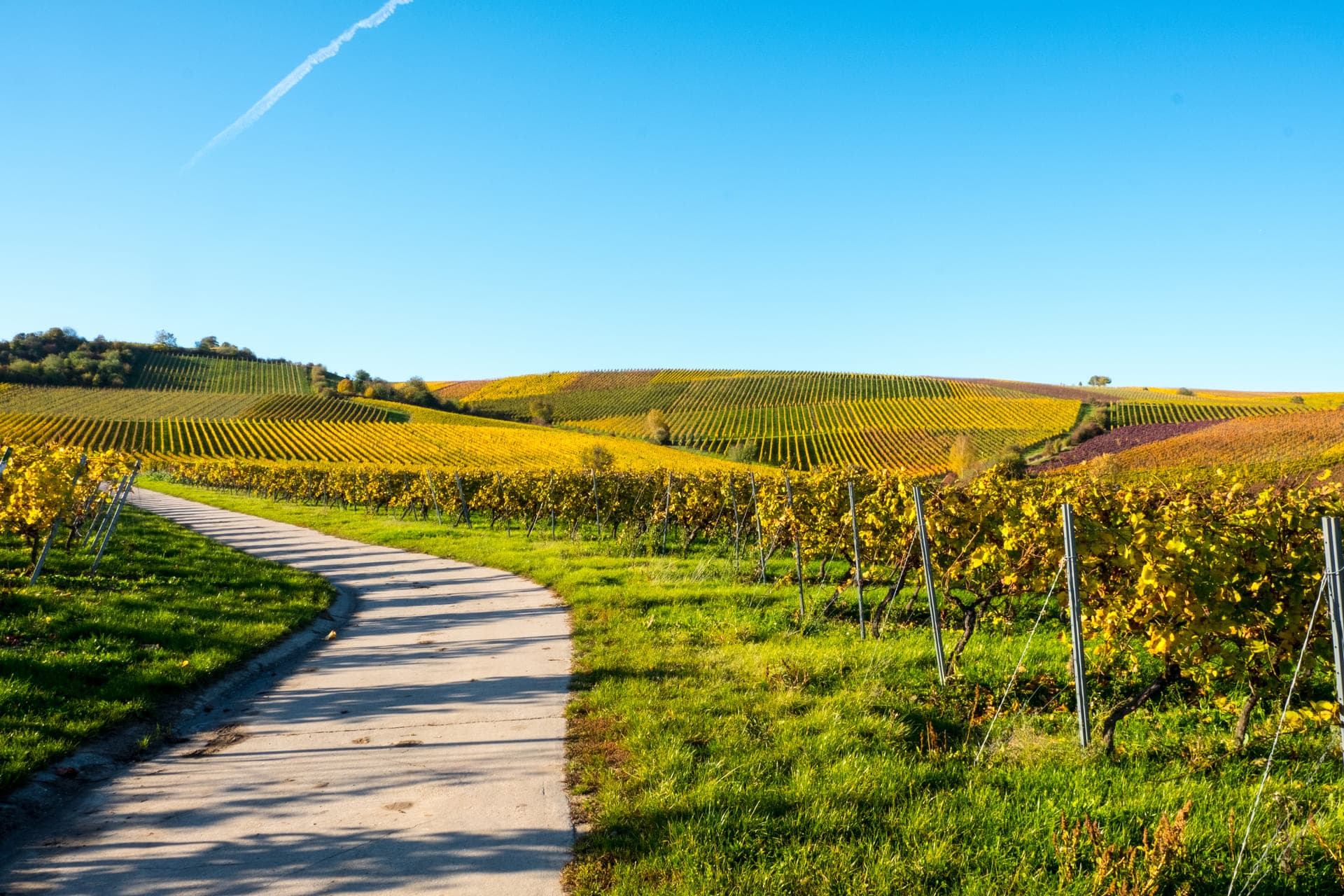 Ebersheimer Weinwanderung